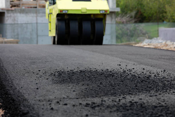 Best Driveway Pavers Near Me  in Lake Hamilton, AR
